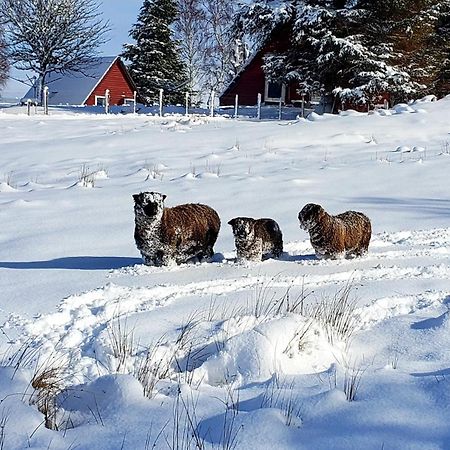 Highland Glen Lodges Rogart エクステリア 写真