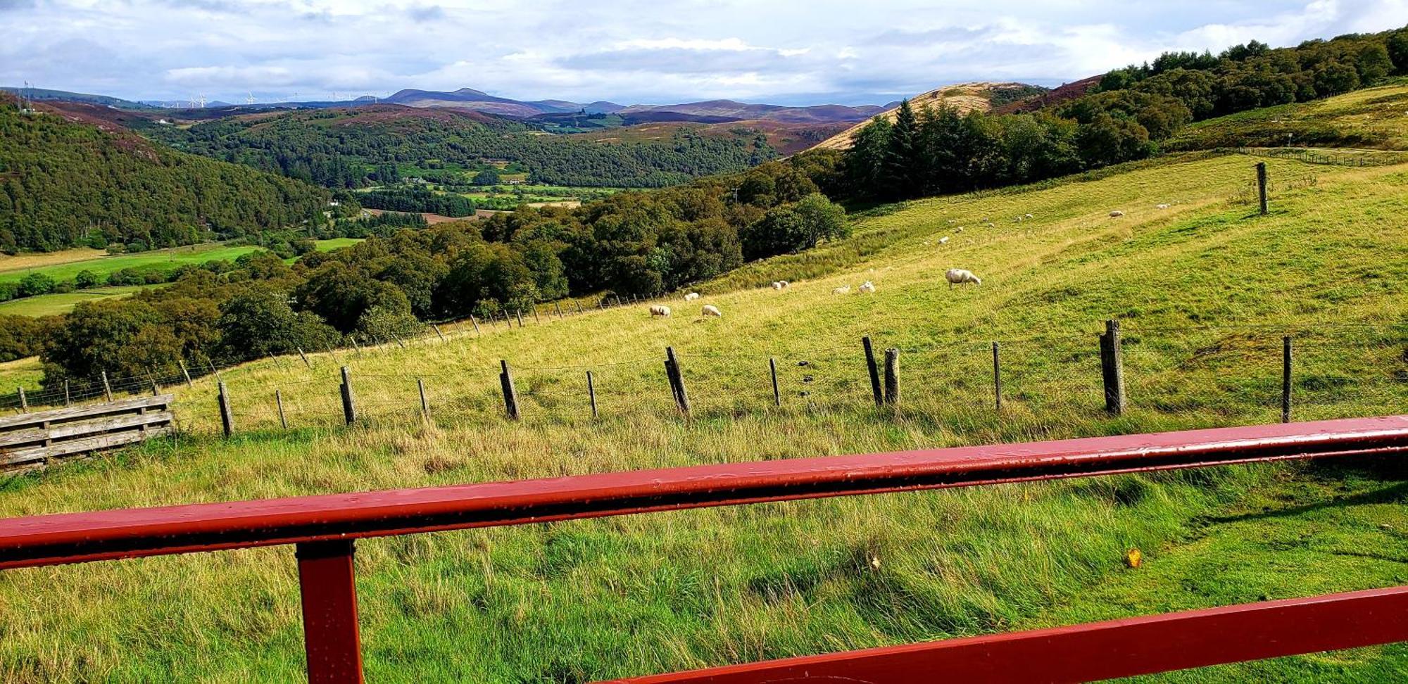 Highland Glen Lodges Rogart エクステリア 写真